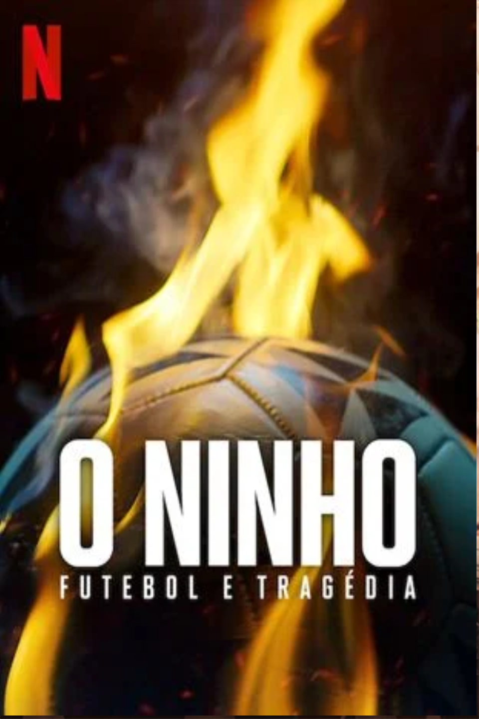 O Ninho Futebol e Tragédia